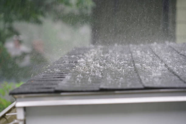 Best Roof Maintenance  in Rainier, OR